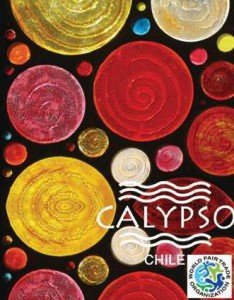 Company logo of Calypso